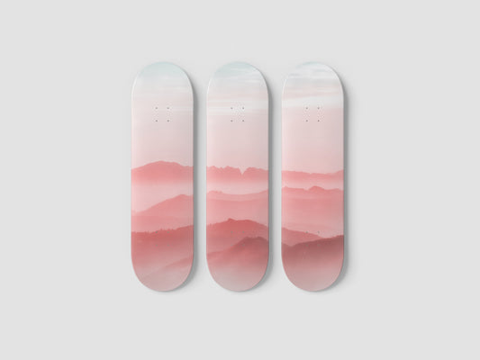 Rose - Skateboard Wall Art