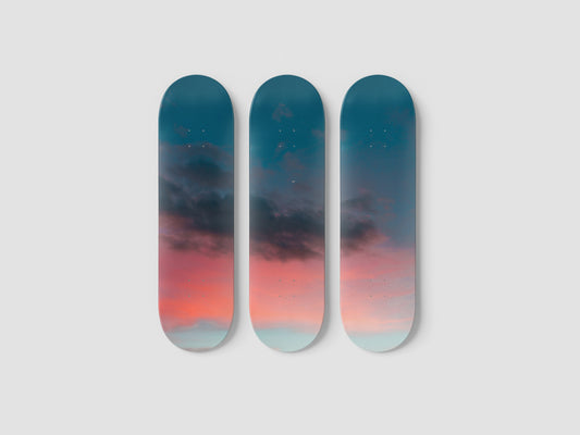 Fuschia - Skateboard Wall Art