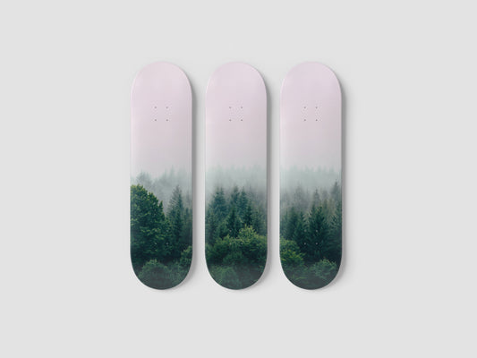 Fog - Skateboard Wall Art