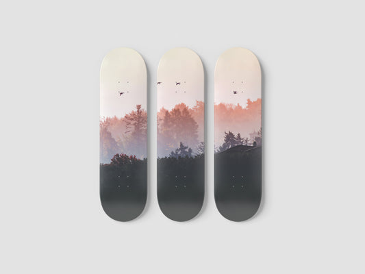 Flight - Skateboard Wall Art